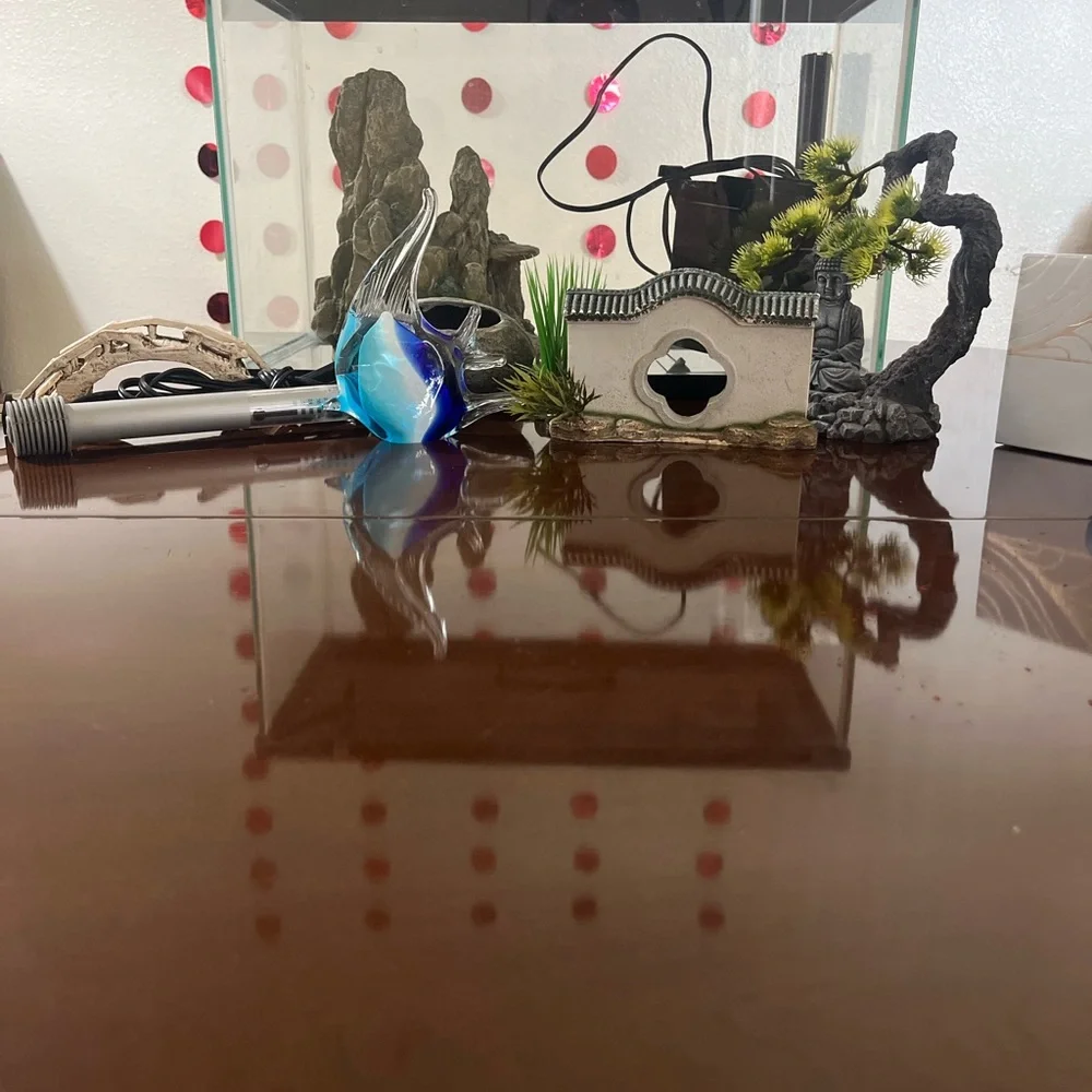 Glass Fish Tank with Accessories